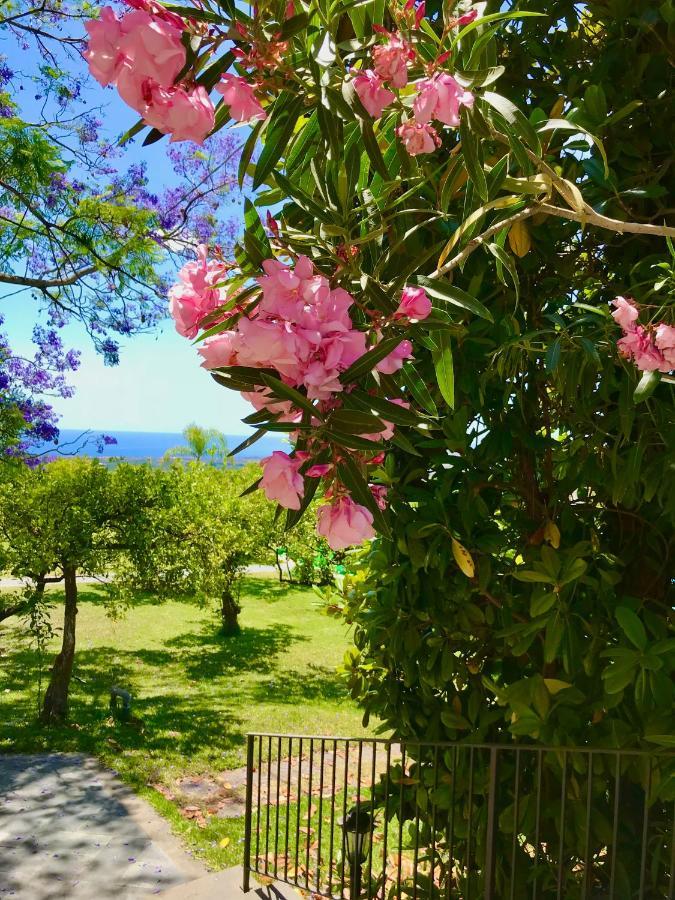 Tenuta Jacaranda Piedimonte Etneo Extérieur photo